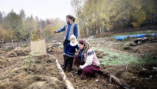 Introduktion till Skogsträdgårdsodling