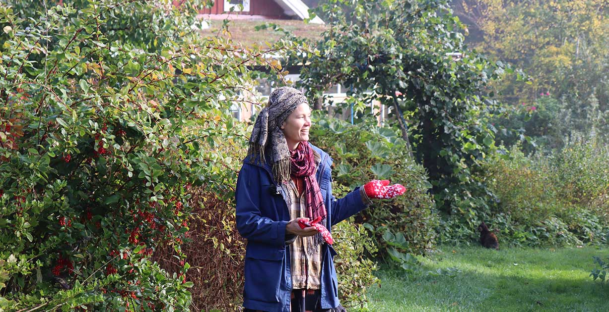 Rundvisning i Skogsträdgården, sju år efter etablering